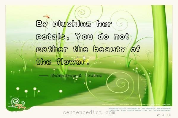 Good sentence's beautiful picture_By plucking her petals, You do not gather the beauty of the flower.