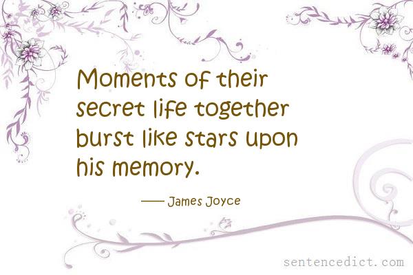 Good sentence's beautiful picture_Moments of their secret life together burst like stars upon his memory.