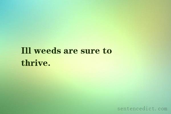 Good sentence's beautiful picture_Ill weeds are sure to thrive.