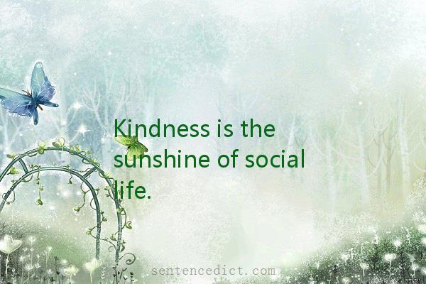 Good sentence's beautiful picture_Kindness is the sunshine of social life.