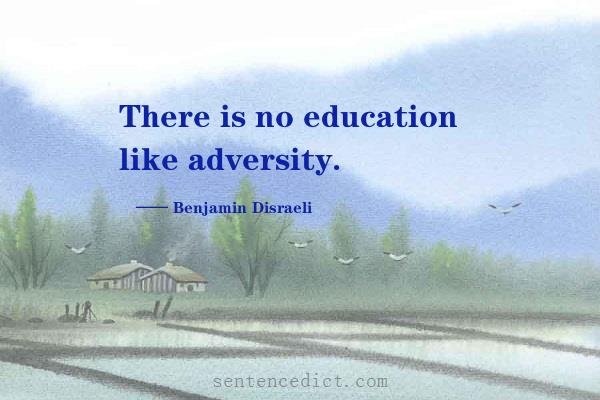 Good sentence's beautiful picture_There is no education like adversity.