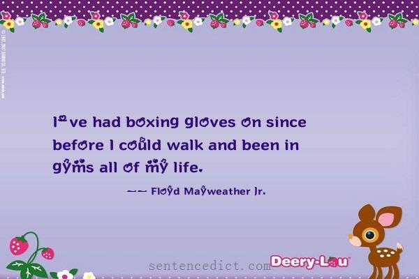 Good sentence's beautiful picture_I've had boxing gloves on since before I could walk and been in gyms all of my life.