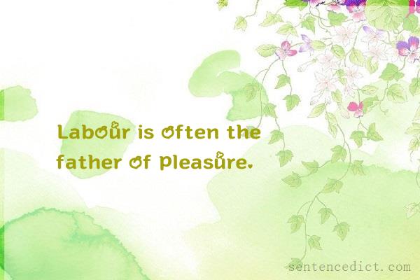 Good sentence's beautiful picture_Labour is often the father of pleasure.