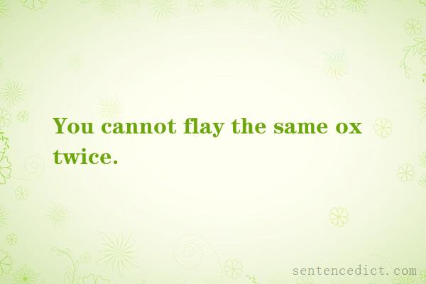Good sentence's beautiful picture_You cannot flay the same ox twice.