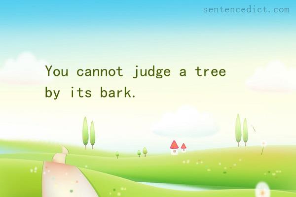 Good sentence's beautiful picture_You cannot judge a tree by its bark.