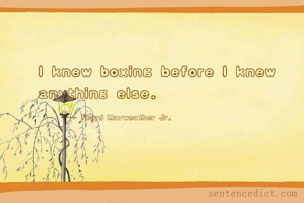 Good sentence's beautiful picture_I knew boxing before I knew anything else.