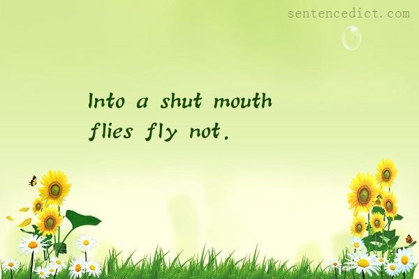 Good sentence's beautiful picture_Into a shut mouth flies fly not.
