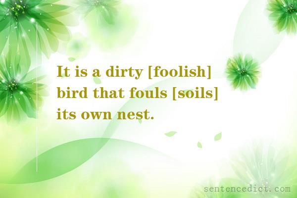 Good sentence's beautiful picture_It is a dirty [foolish] bird that fouls [soils] its own nest.