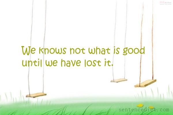 Good sentence's beautiful picture_We knows not what is good until we have lost it.