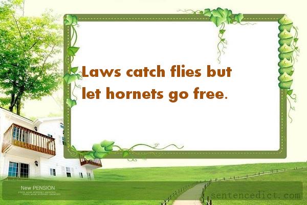 Good sentence's beautiful picture_Laws catch flies but let hornets go free.