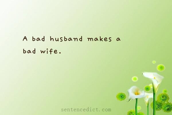 Good sentence's beautiful picture_A bad husband makes a bad wife.