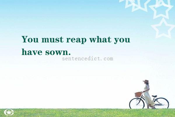 Good sentence's beautiful picture_You must reap what you have sown.