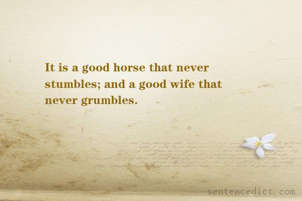 Good sentence's beautiful picture_It is a good horse that never stumbles; and a good wife that never grumbles.
