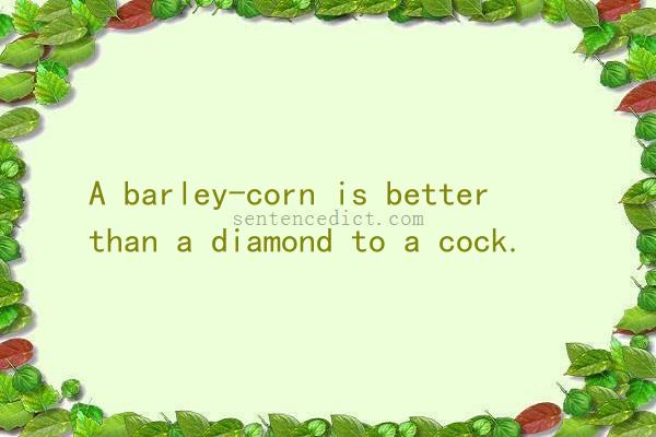 Good sentence's beautiful picture_A barley-corn is better than a diamond to a cock.