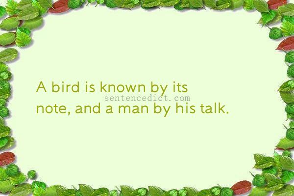 Good sentence's beautiful picture_A bird is known by its note, and a man by his talk.