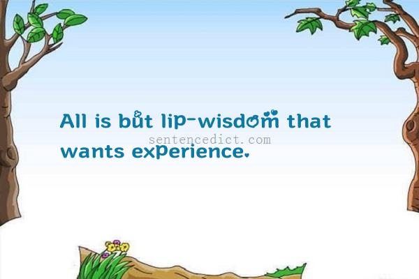 Good sentence's beautiful picture_All is but lip-wisdom that wants experience.