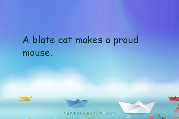 Good sentence's beautiful picture_A blate cat makes a proud mouse.