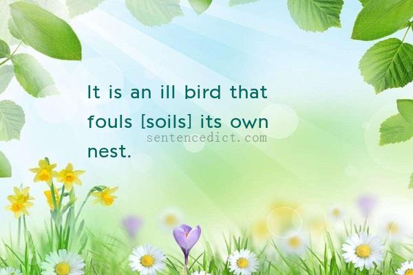 Good sentence's beautiful picture_It is an ill bird that fouls [soils] its own nest.