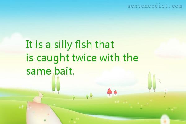 Good sentence's beautiful picture_It is a silly fish that is caught twice with the same bait.