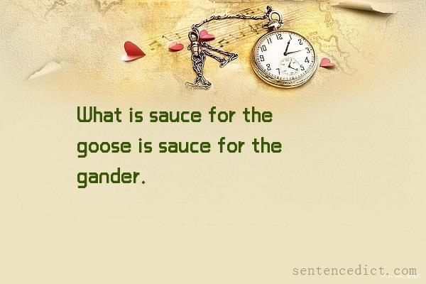 Good sentence's beautiful picture_What is sauce for the goose is sauce for the gander.