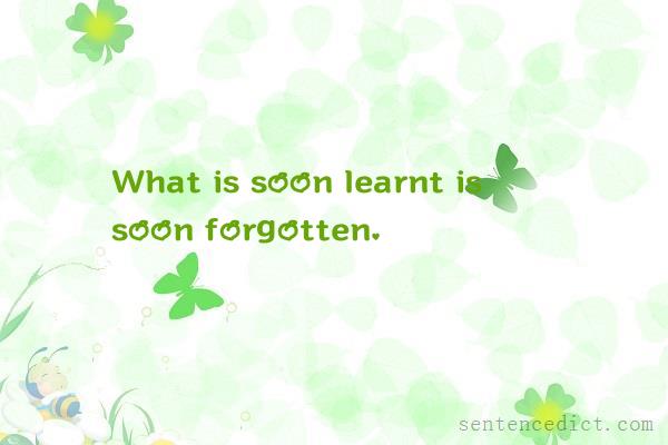 Good sentence's beautiful picture_What is soon learnt is soon forgotten.