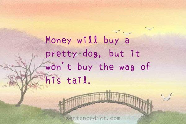 Good sentence's beautiful picture_Money will buy a pretty dog, but it won't buy the wag of his tail.