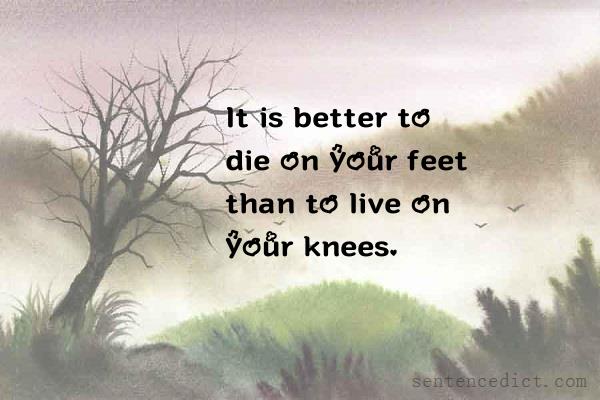 Good sentence's beautiful picture_It is better to die on your feet than to live on your knees.