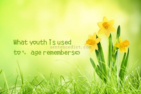 Good sentence's beautiful picture_What youth is used to, age remembers.