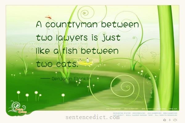 Good sentence's beautiful picture_A countryman between two lawyers is just like a fish between two cats.