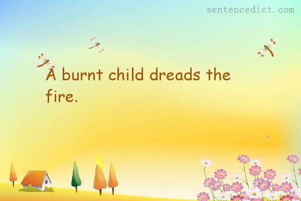 Good sentence's beautiful picture_A burnt child dreads the fire.