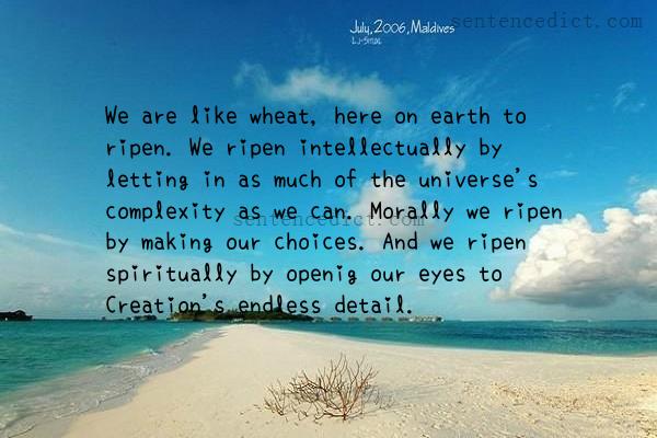 Good sentence's beautiful picture_We are like wheat, here on earth to ripen. We ripen intellectually by letting in as much of the universe's complexity as we can. Morally we ripen by making our choices. And we ripen spiritually by openig our eyes to Creation's endless detail.