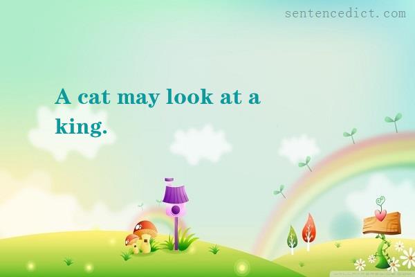 Good sentence's beautiful picture_A cat may look at a king.