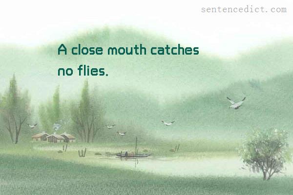 Good sentence's beautiful picture_A close mouth catches no flies.