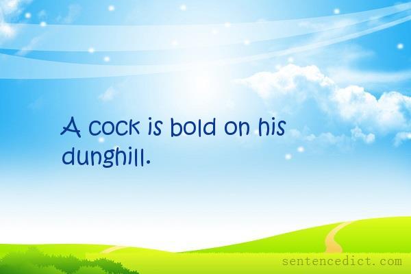 Good sentence's beautiful picture_A cock is bold on his dunghill.