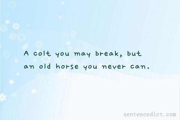 Good sentence's beautiful picture_A colt you may break, but an old horse you never can.