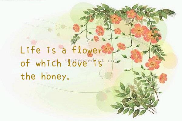 Good sentence's beautiful picture_Life is a flower of which love is the honey.