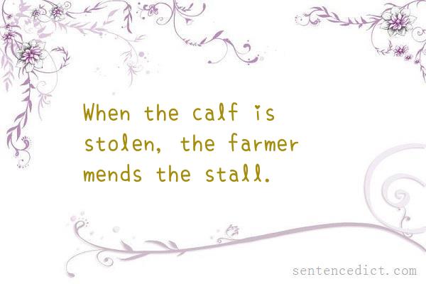 Good sentence's beautiful picture_When the calf is stolen, the farmer mends the stall.