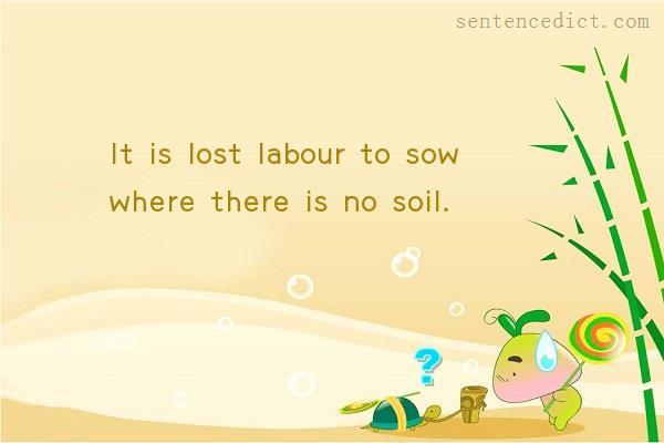 Good sentence's beautiful picture_It is lost labour to sow where there is no soil.