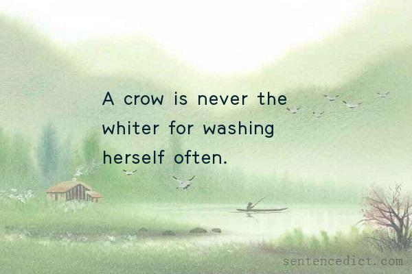 Good sentence's beautiful picture_A crow is never the whiter for washing herself often.