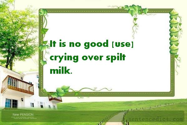Good sentence's beautiful picture_It is no good [use] crying over spilt milk.