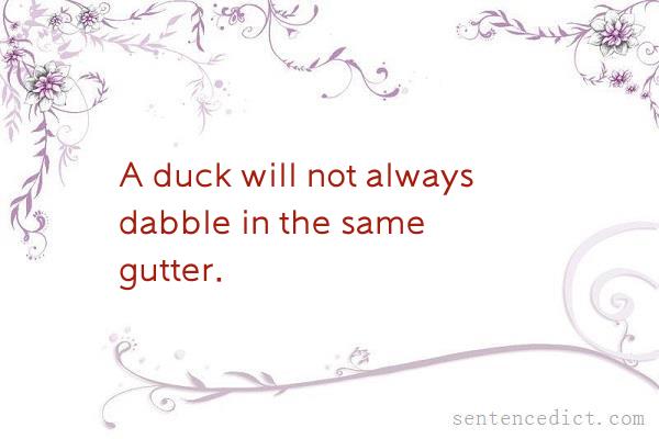 Good sentence's beautiful picture_A duck will not always dabble in the same gutter.