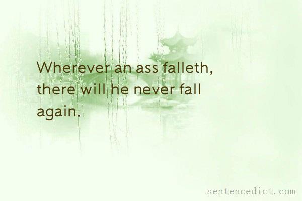 Good sentence's beautiful picture_Wherever an ass falleth, there will he never fall again.