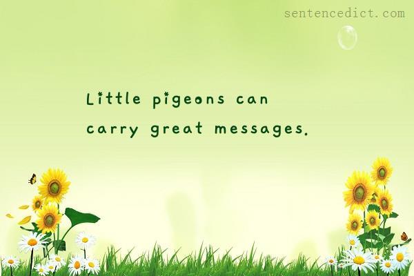 Good sentence's beautiful picture_Little pigeons can carry great messages.