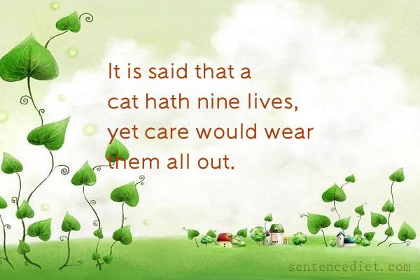 Good sentence's beautiful picture_It is said that a cat hath nine lives, yet care would wear them all out.
