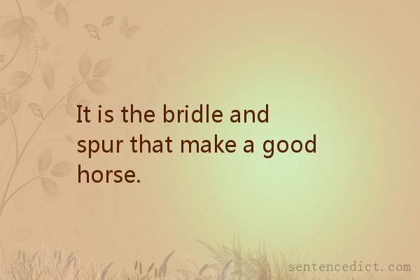 Good sentence's beautiful picture_It is the bridle and spur that make a good horse.