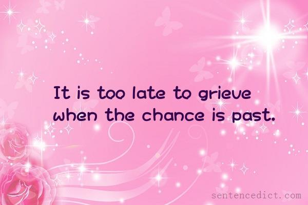 Good sentence's beautiful picture_It is too late to grieve when the chance is past.