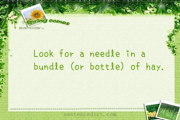 Good sentence's beautiful picture_Look for a needle in a bundle (or bottle) of hay.