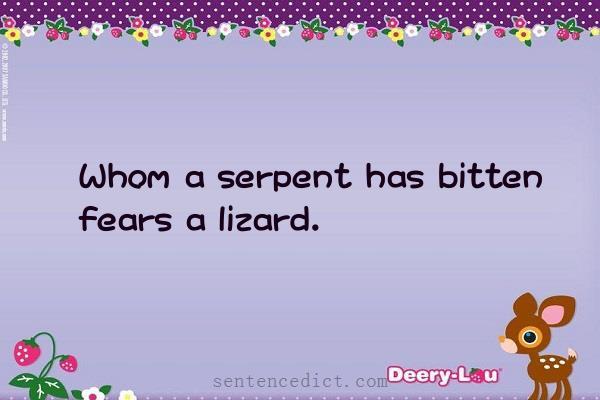 Good sentence's beautiful picture_Whom a serpent has bitten fears a lizard.