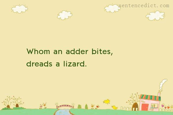 Good sentence's beautiful picture_Whom an adder bites, dreads a lizard.
