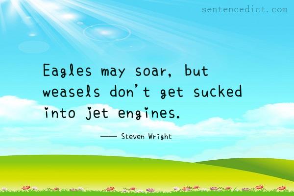 Good sentence's beautiful picture_Eagles may soar, but weasels don't get sucked into jet engines.